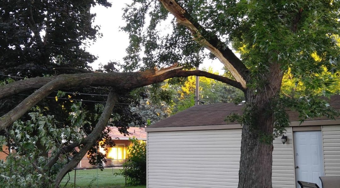 Michigan Storm Damage and Cleanup Tree Services from Tree Service of Troy