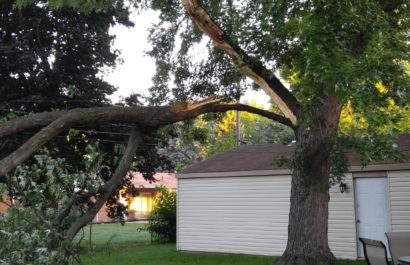 Michigan Storm Damage and Cleanup Tree Services from Tree Service of Troy