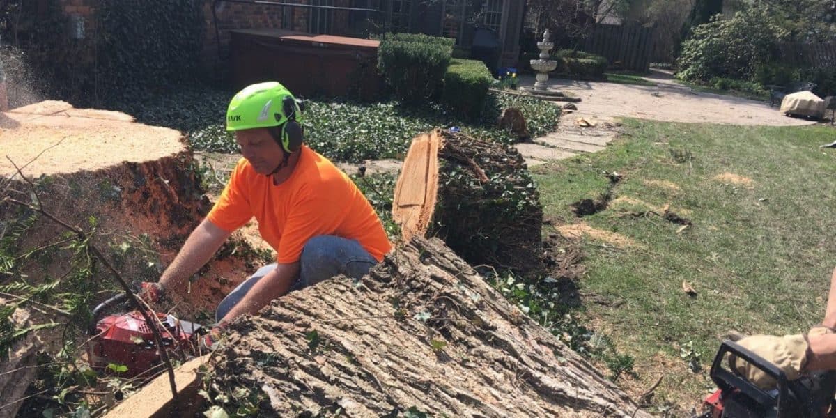 Tree Service of Troy Worker Removing Stump
