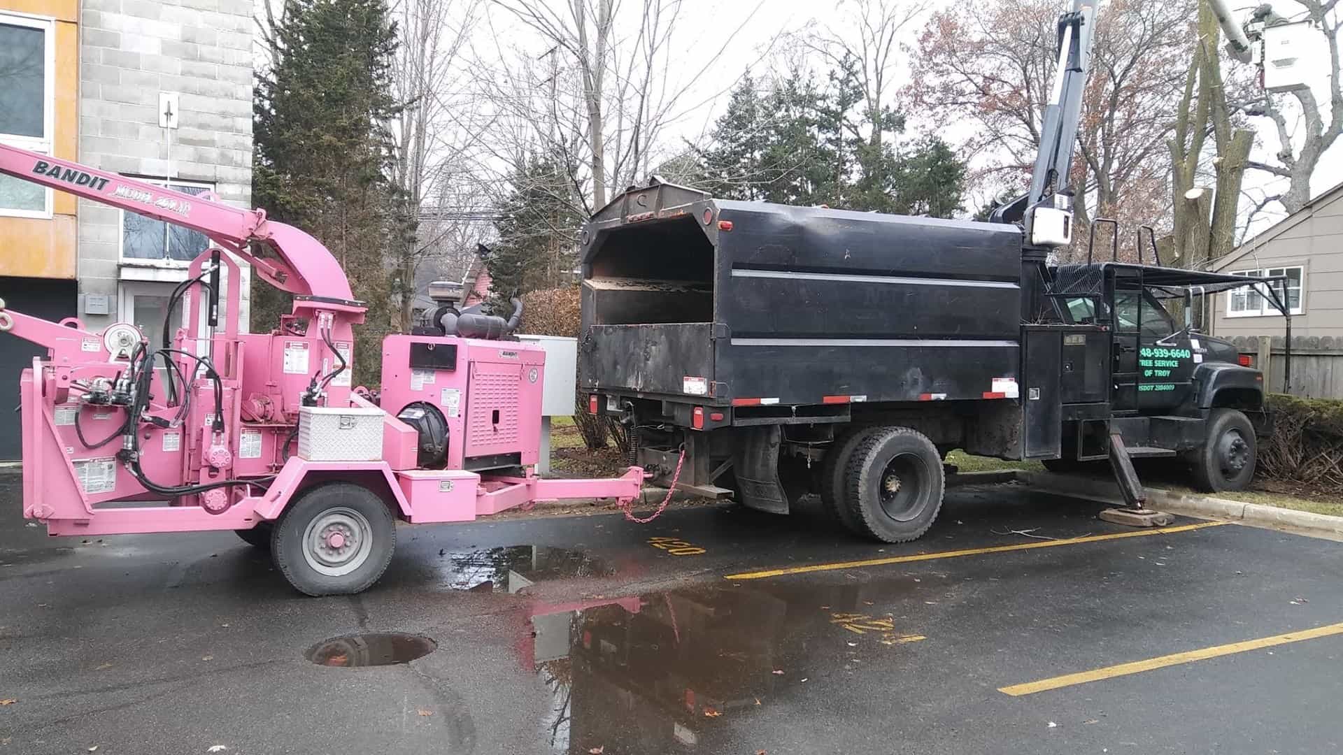 Tree Service of Troy Purple Truck and Pink Wood-chipper